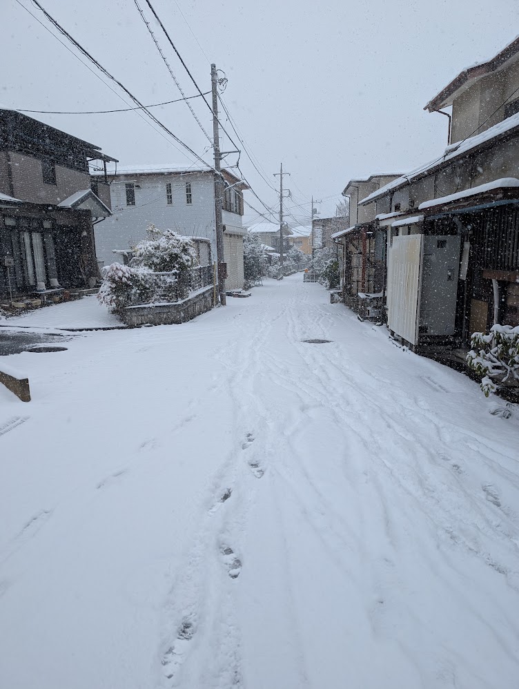 【2/10午後2時 全線解除】>> 2/8通行止め【奥多摩周遊道路】